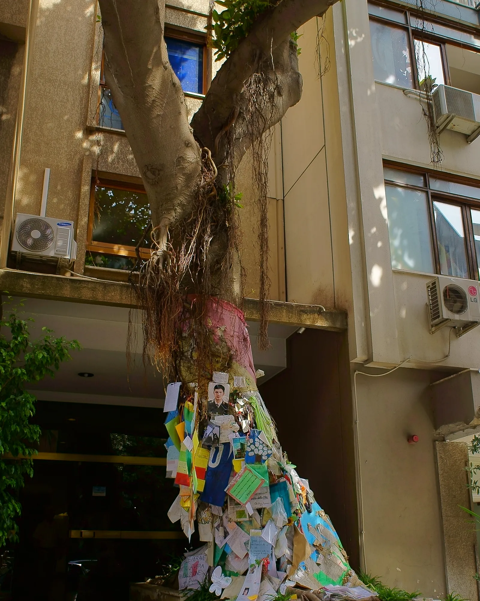 A big ficus leaning out over the entrance of an apartment block, aerial roots trailing from the branch above. The lower trunk is completely covered in taped-on letters, children's drawings, coloured paper and photographs, and it is rooted in a stone planter beside the building's glass door, in dappled afternoon sun.